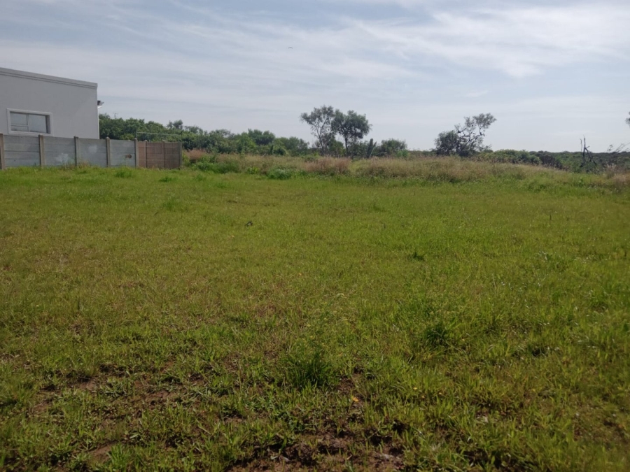 Commercial Property for Sale in Fountains Estate Eastern Cape